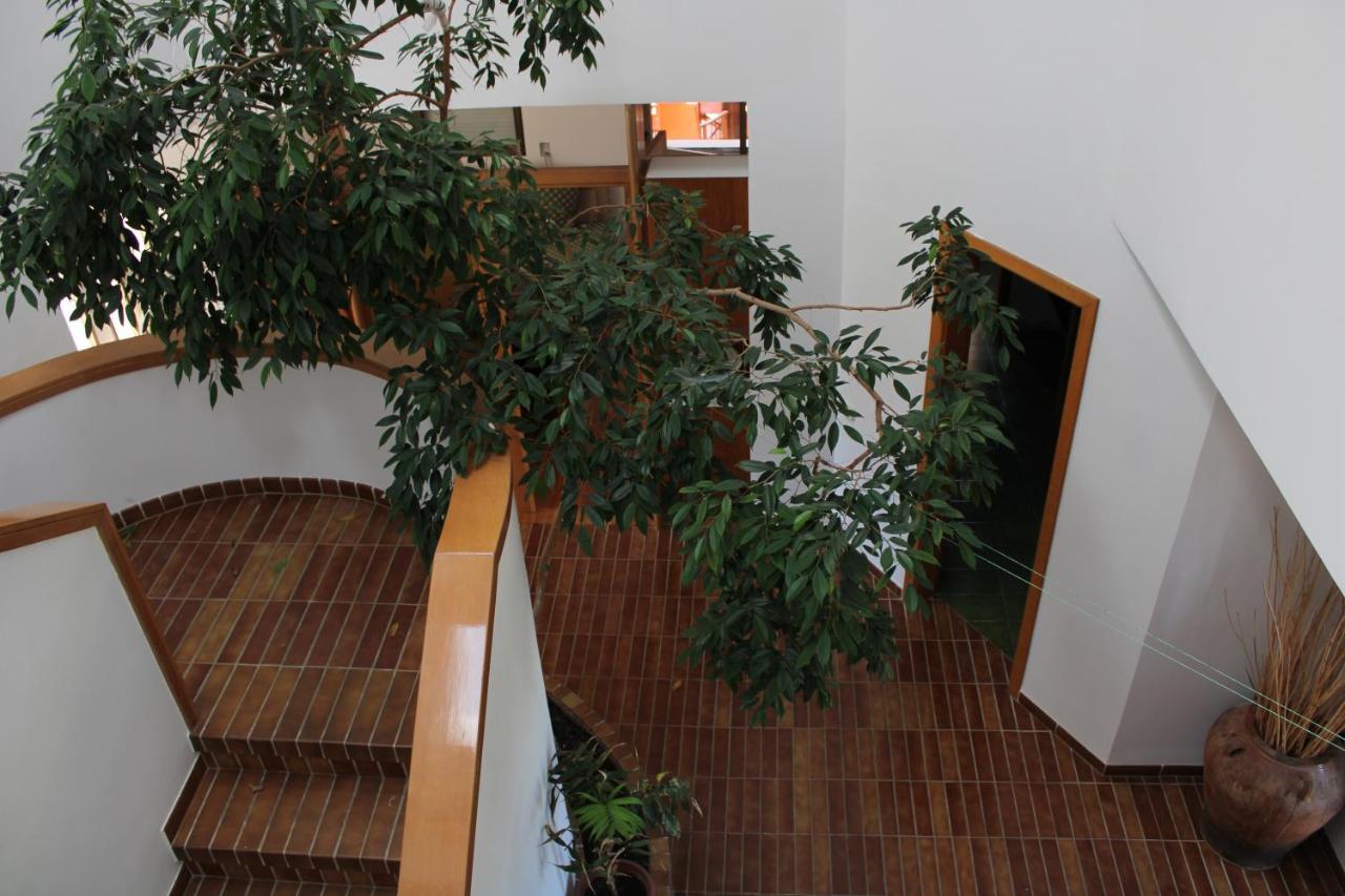 Villa De L'Ebre Deltebre Kültér fotó