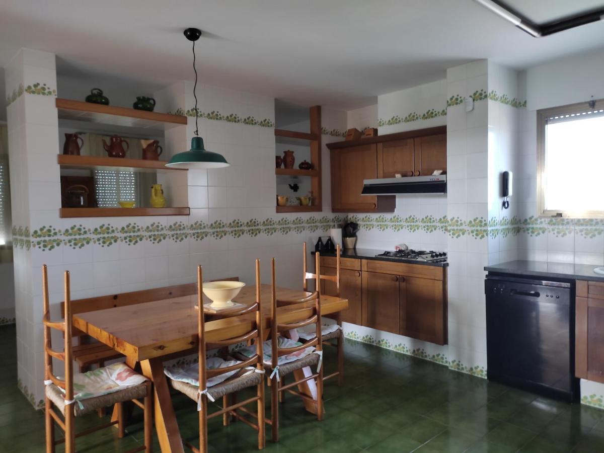 Villa De L'Ebre Deltebre Kültér fotó